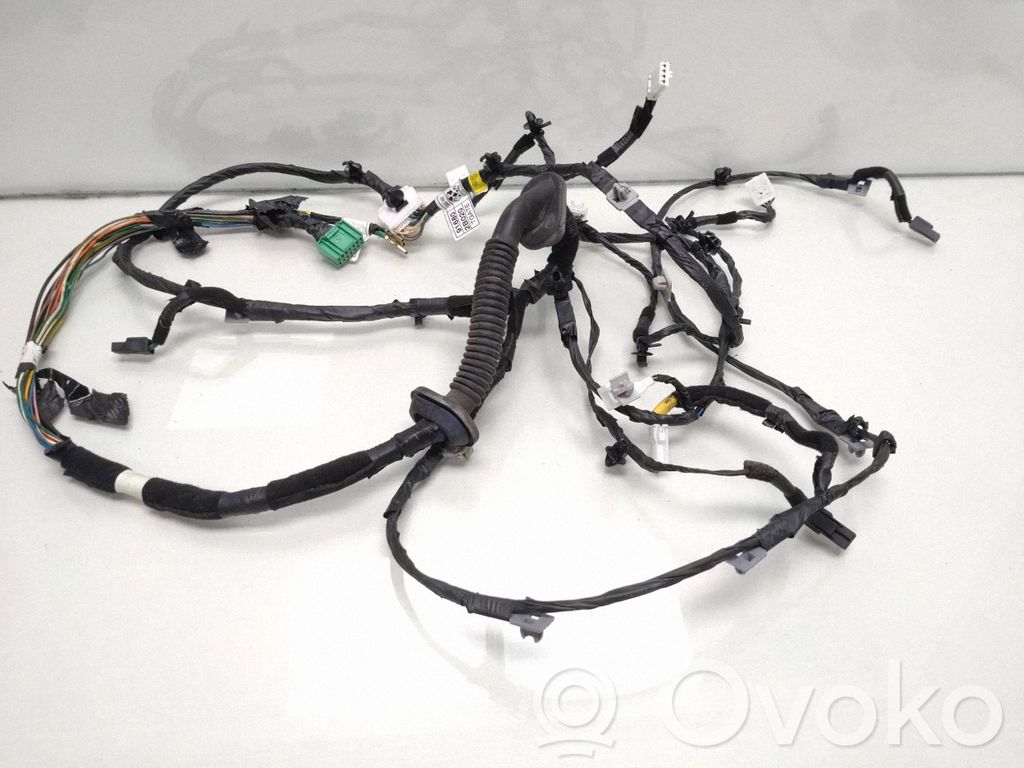 Hyundai Santa Fe Arnés de cableado de la puerta trasera/maletero