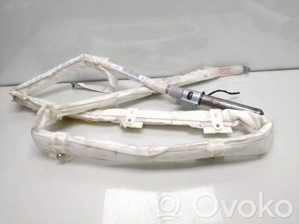 Airbag del techo   85914733802A