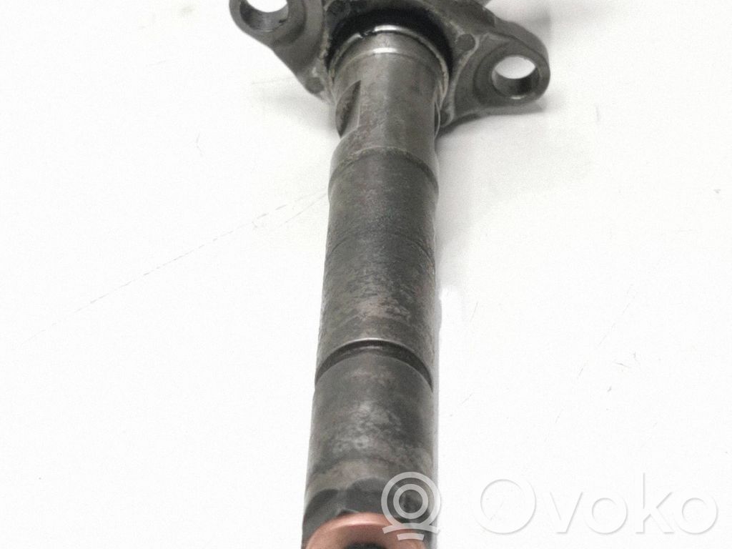 Injektor Einspritzdüse   0445110259,328480,00308