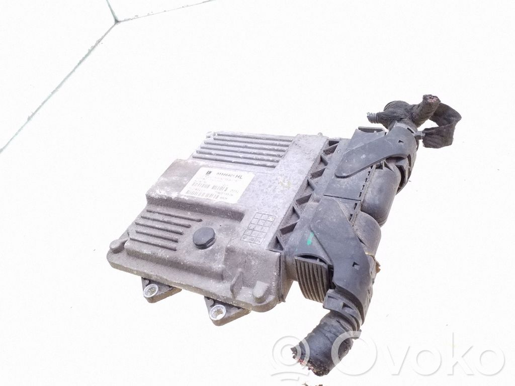 Engine control unit/module   55566401