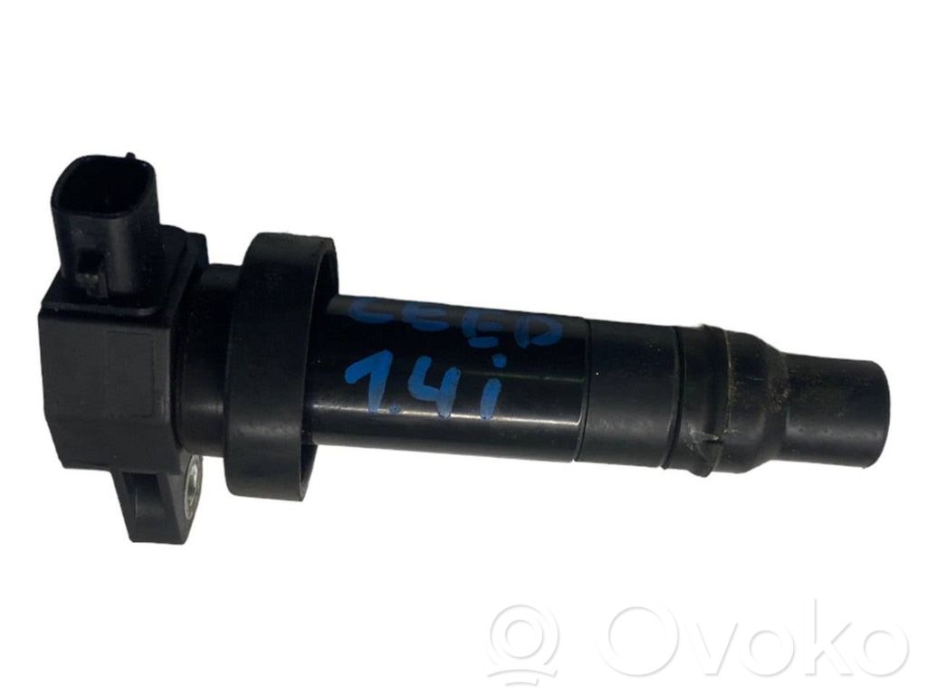 High voltage ignition coil