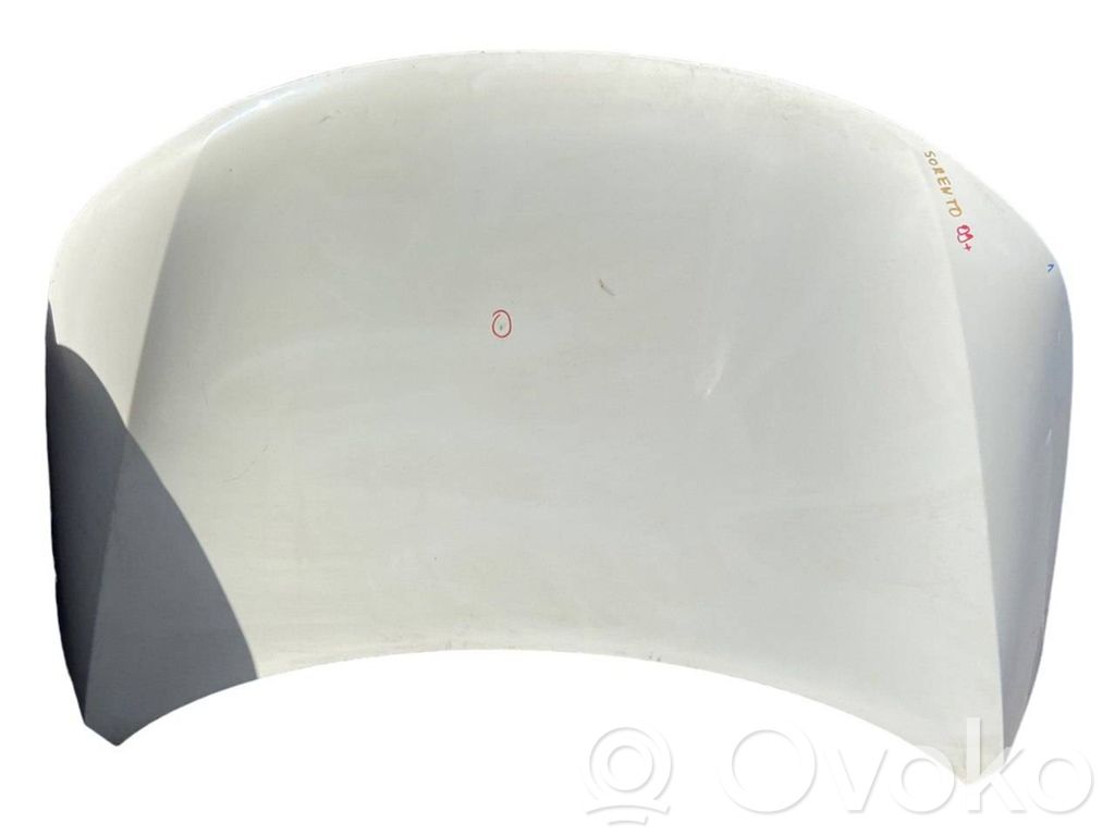 Engine bonnet/hood