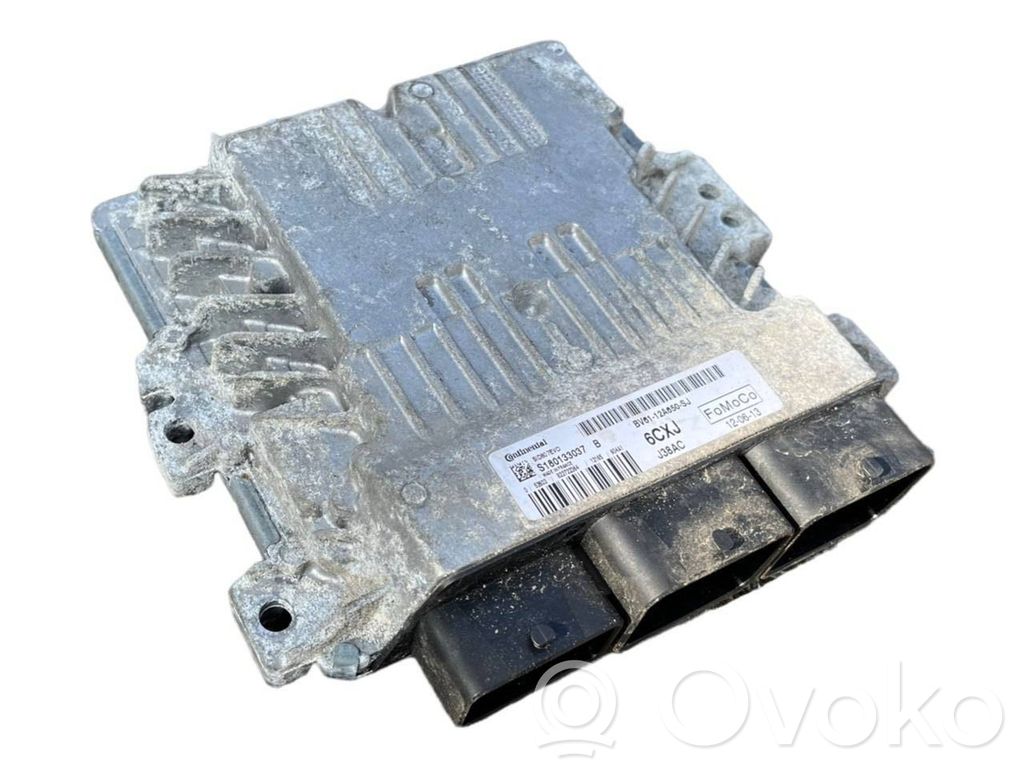 Ford Focus Engine control unit/module 