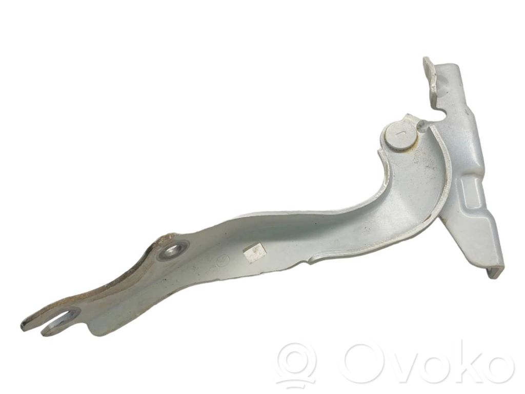 Engine bonnet/hood hinges