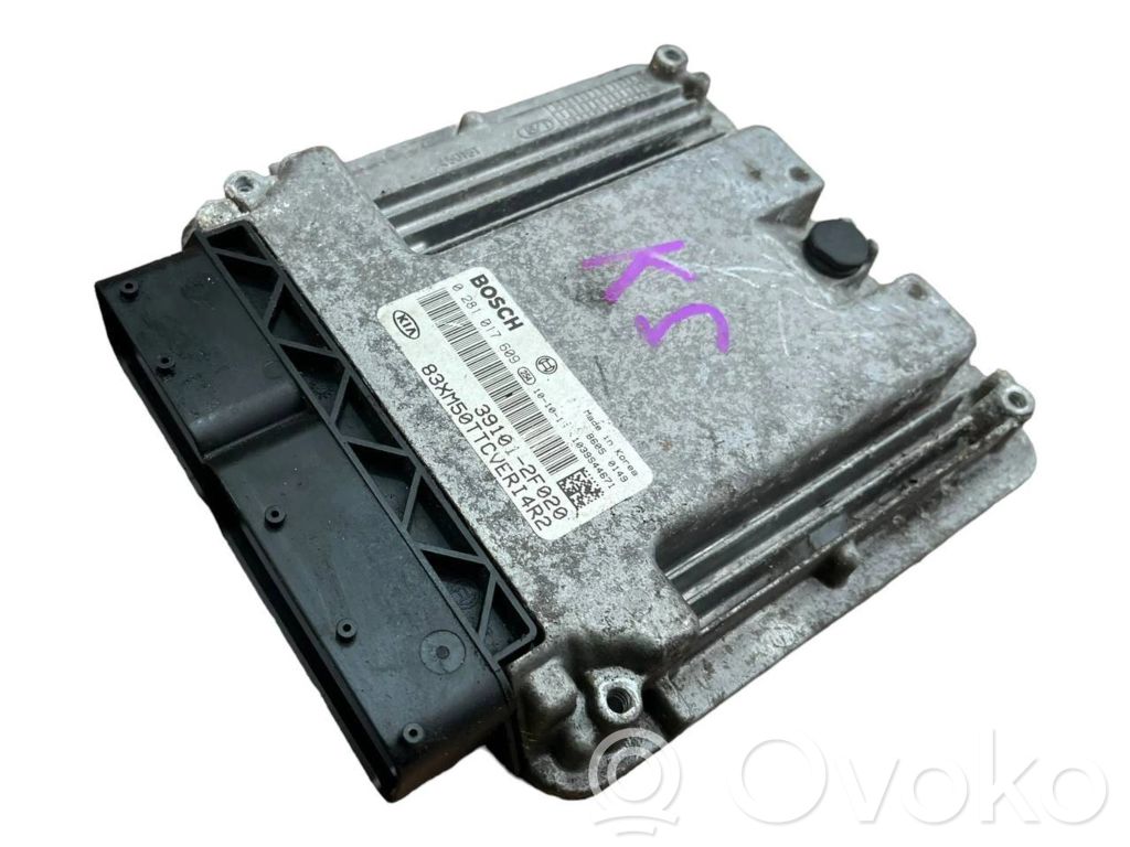 KIA Sorento Engine control unit/module 