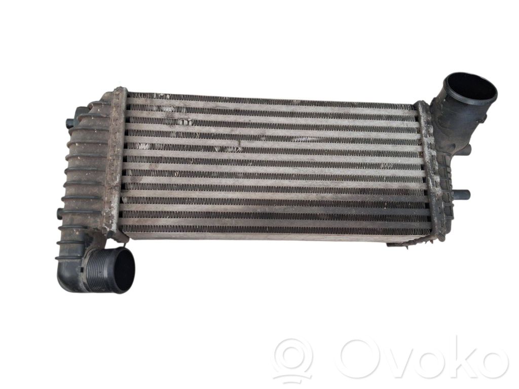 Interkūlerio radiatorius   BV619L440CJ,X168002