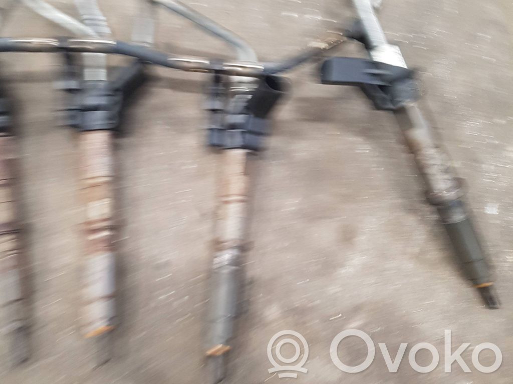 Volkswagen Crafter Injector combustibil 