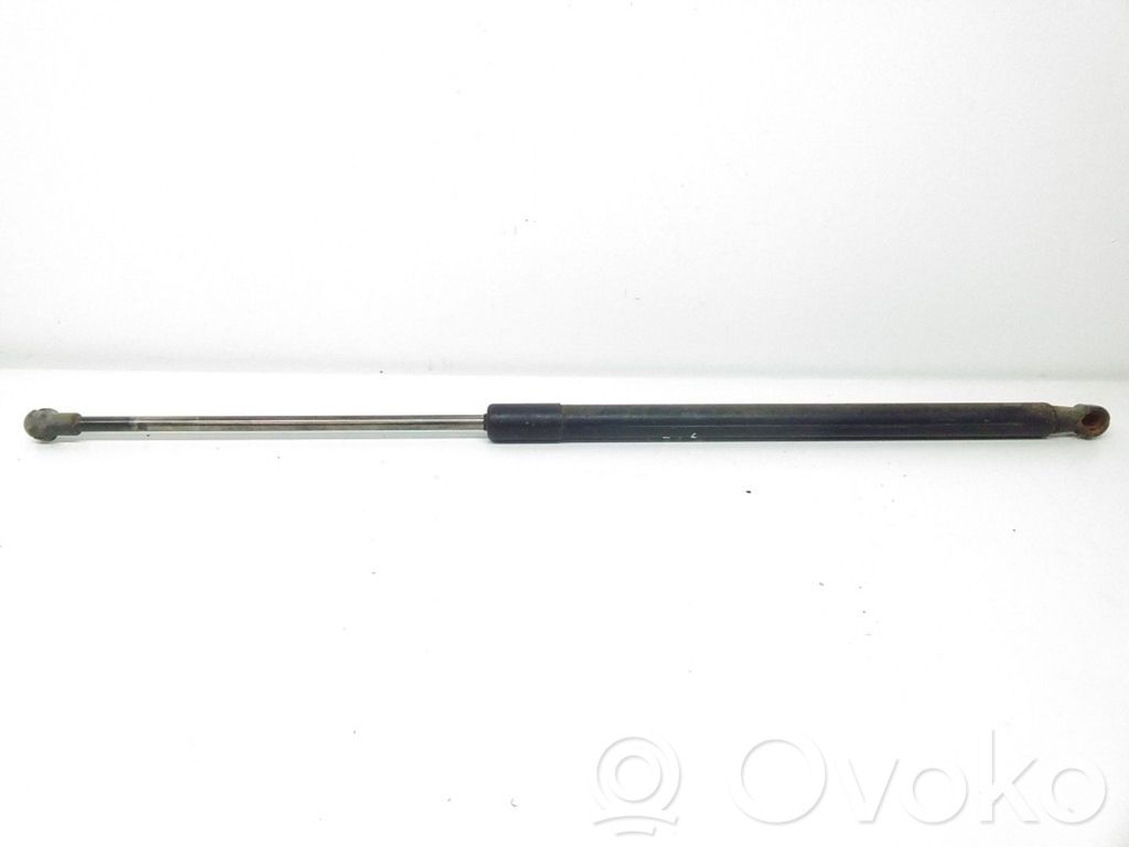 Tailgate/trunk strut/damper   8232873