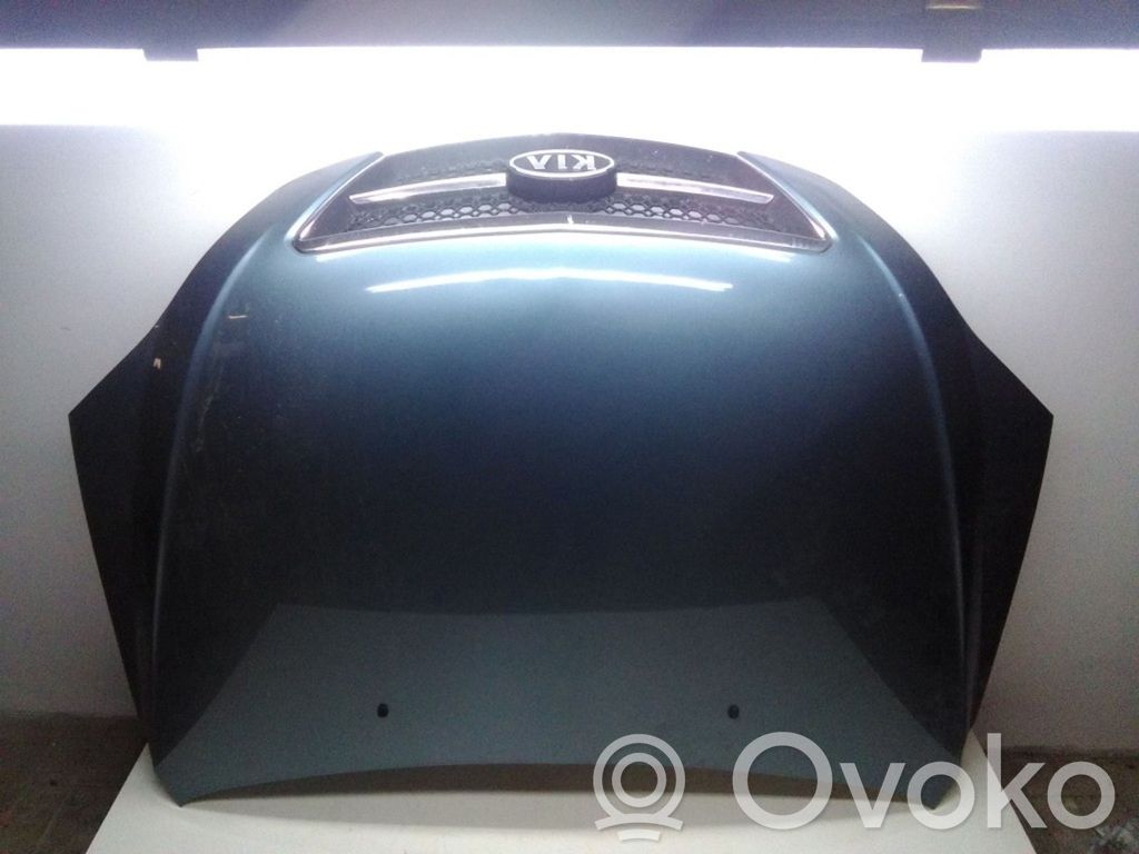 Engine bonnet/hood