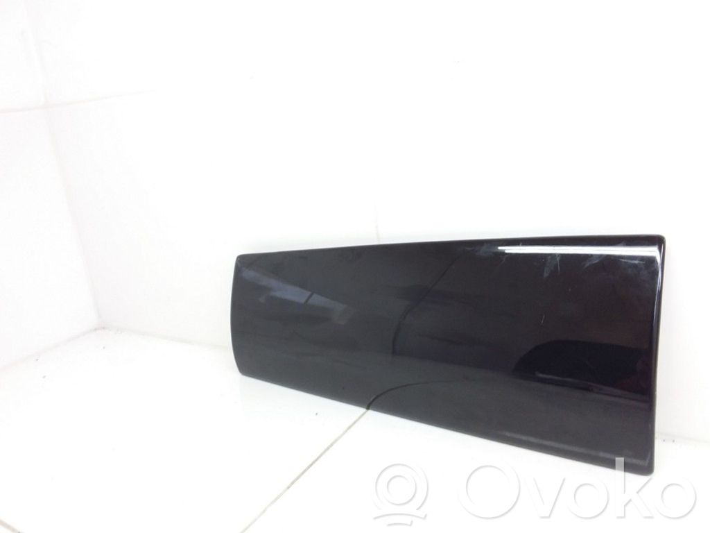 Jaguar X-Type Panel trim 
