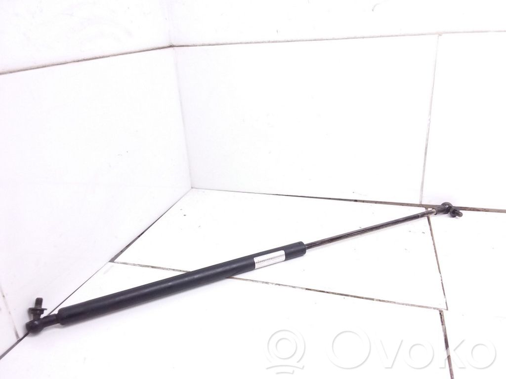 Tailgate/trunk strut/damper