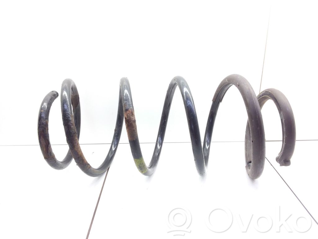 Front coil spring
