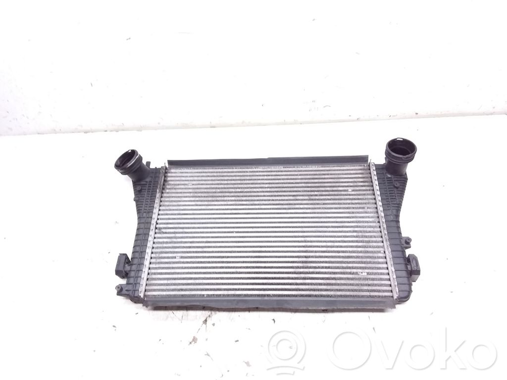 Volkswagen PASSAT B6 Interkūlerio radiatorius 