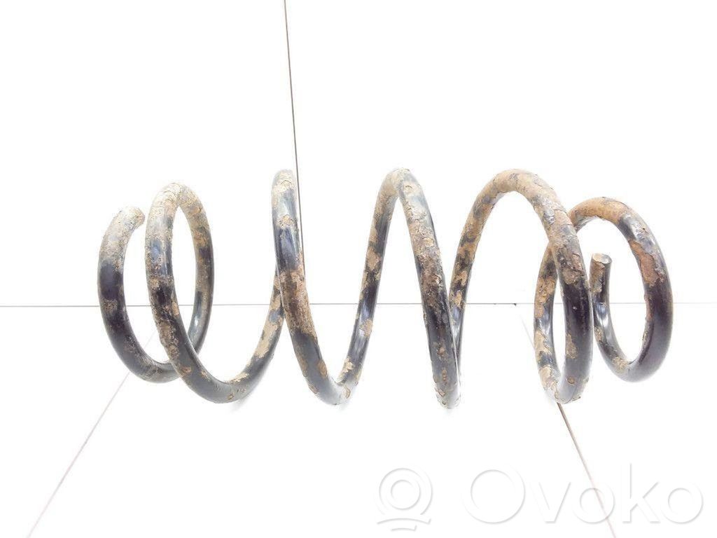 Muelle espiral trasero