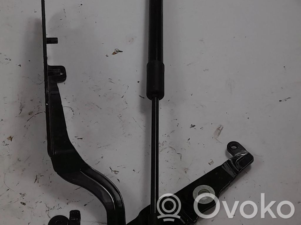 Audi A5 Tailgate/trunk/boot hinge 