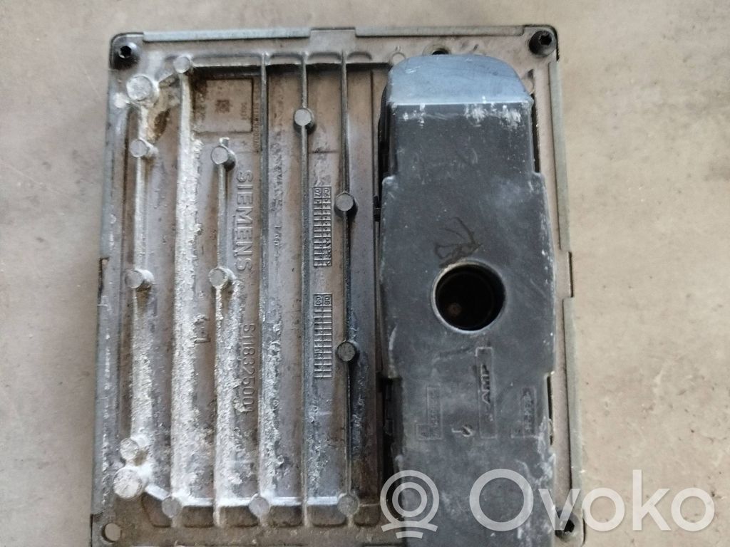 Ford Focus Engine control unit/module 