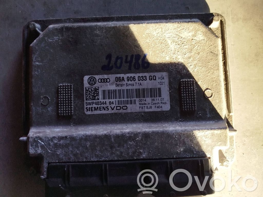Skoda Octavia Mk2 (1Z) Engine control unit/module 