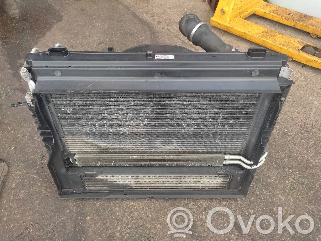 Radiator set   75617129,7801002,780100201,1137328118,7787830
