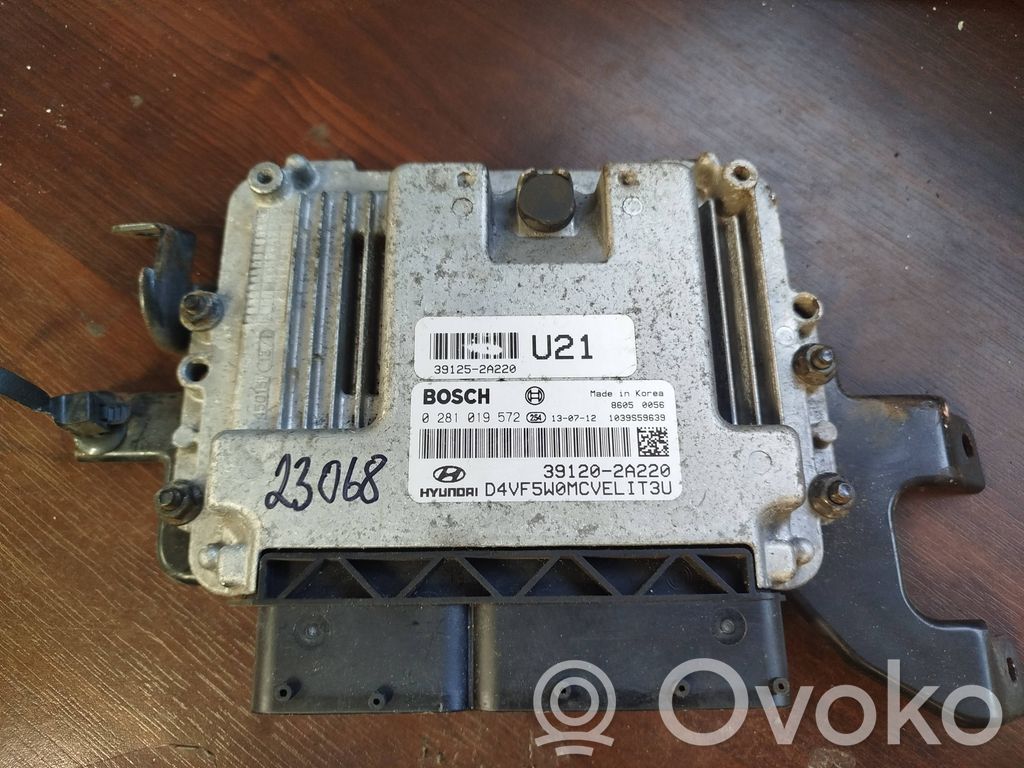 Engine control unit/module   391202A220,391202A220,0281019572