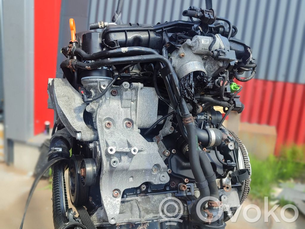 Engine   BZB
