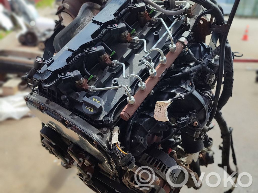 Motore   DRFB,BK209K546AG,BK206K682GA