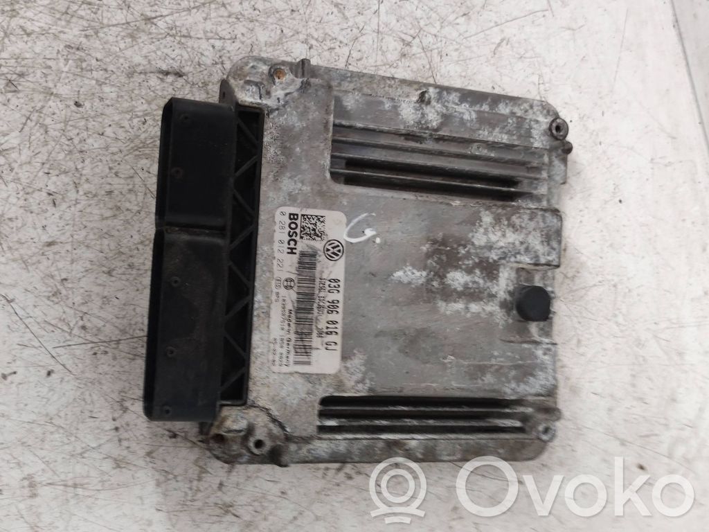 Volkswagen Golf V Engine control unit/module 