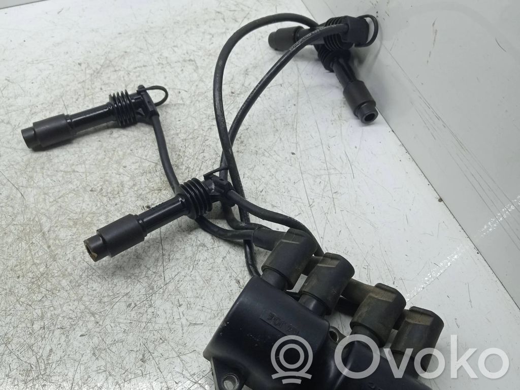 High voltage ignition coil