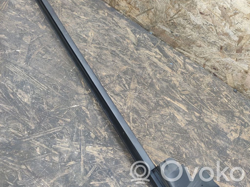 Citroen C6 Rubber seal front door window/glass 