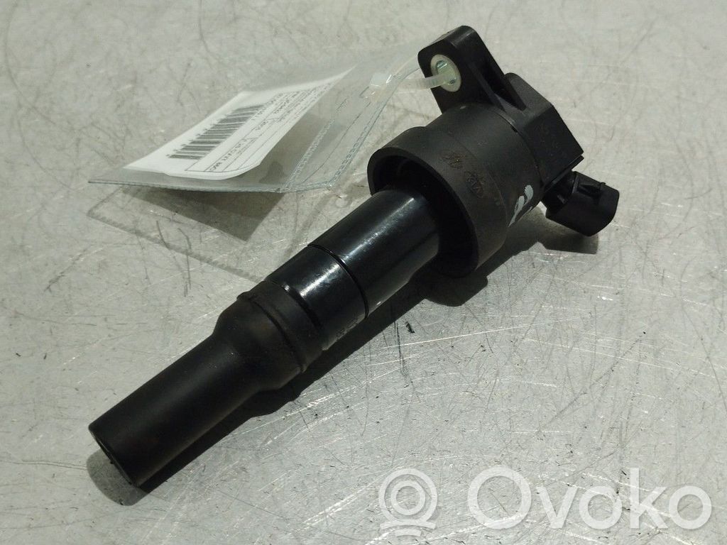 High voltage ignition coil   2730103110