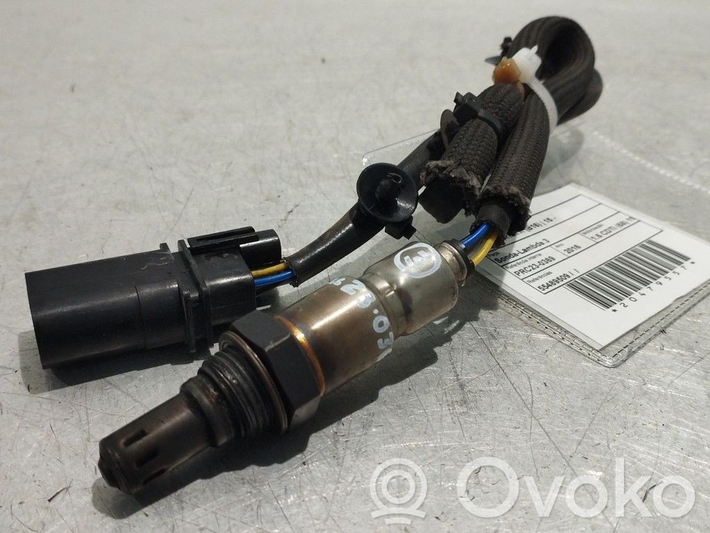 Lambda zonde   55489509