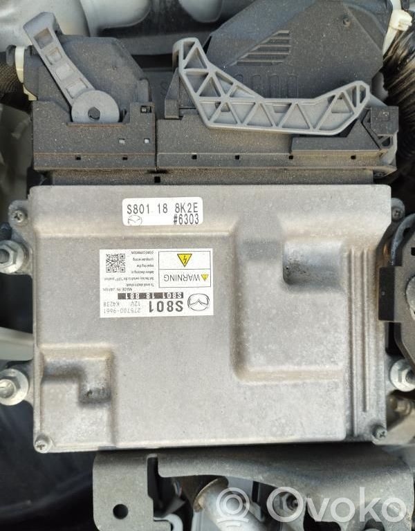 Engine control unit/module   2757009661,S0801