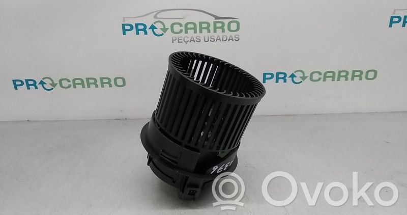 Pečiuko ventiliatorius/ putikas   T1013140A