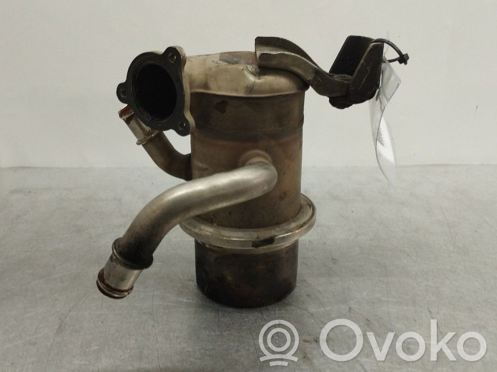 Valvola di raffreddamento EGR   04L131512D