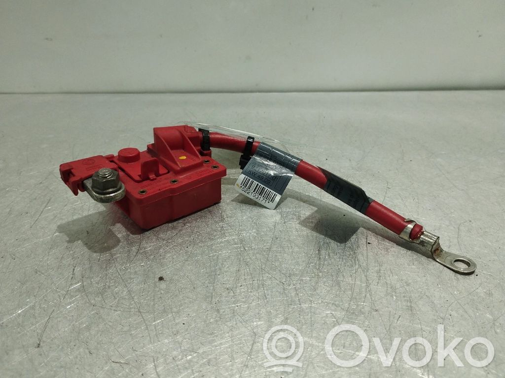 Positive wiring loom   9217017,9217016