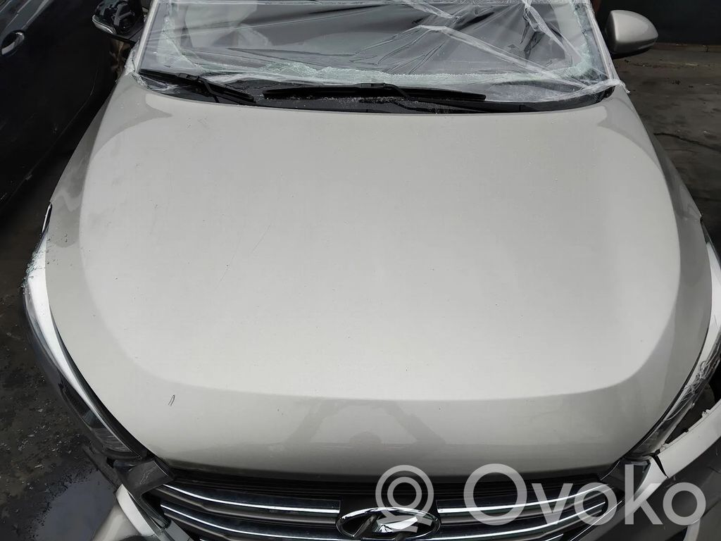 Capotă motor   66400D3000,66400D7000