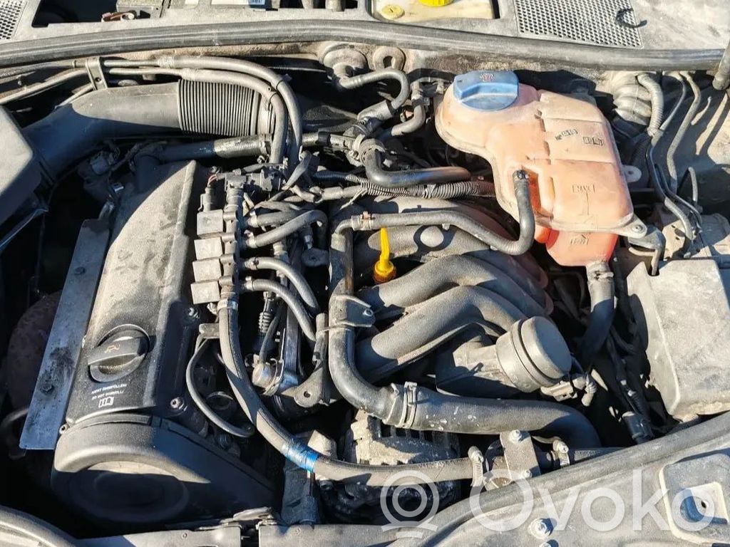 Volkswagen PASSAT B5.5 Motore 