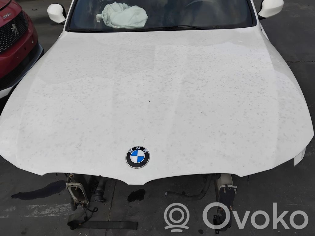 Engine bonnet/hood