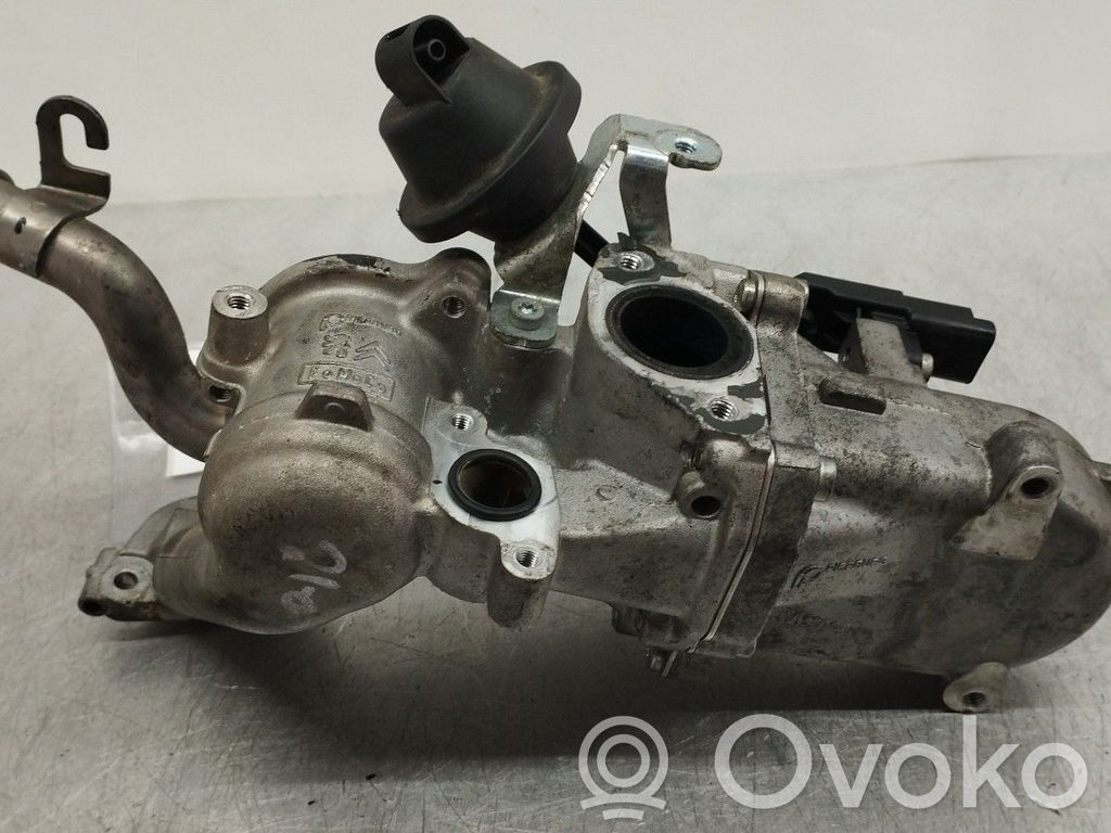 Citroen C4 II Răcitor supapă EGR 