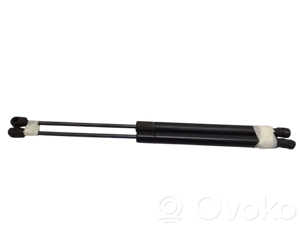 Fiat Freemont Tailgate/trunk strut/damper 