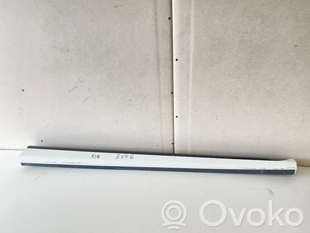 Front door trim (molding)
