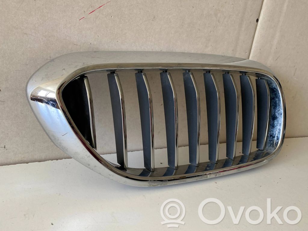 BMW 5 G30 G31 G38 Grilă radiator față 