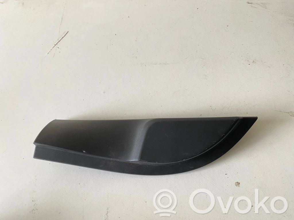 Other front door trim element   156121462,98089935