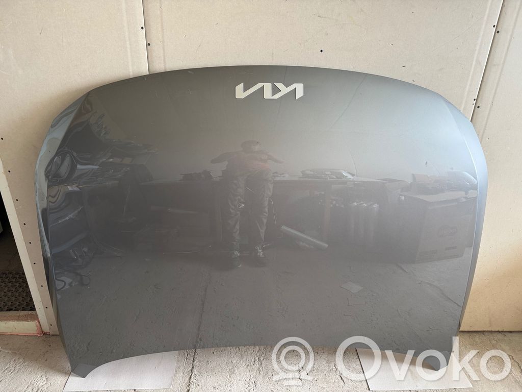 Engine bonnet/hood