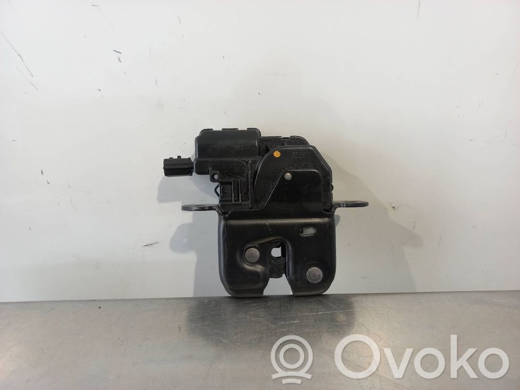 Tailgate lock latch   905039428R