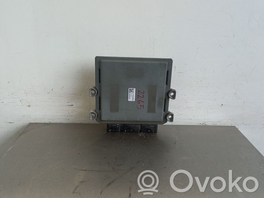 Engine control unit/module   SW9661835480