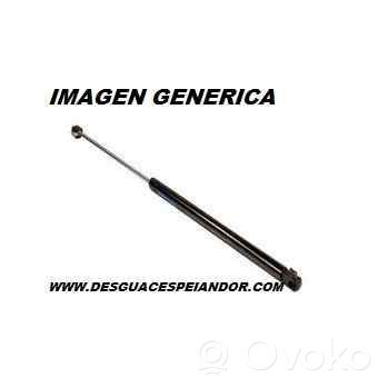Opel Astra F Kit idraulico del portellone posteriore 