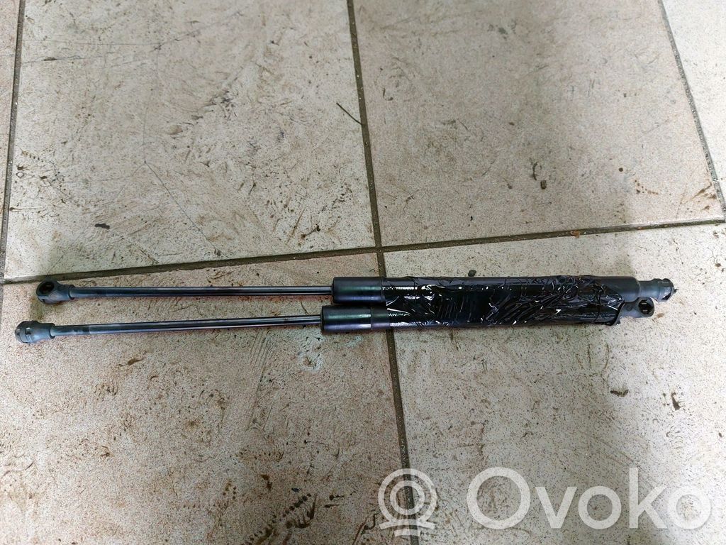 Citroen C3 Tailgate strut 