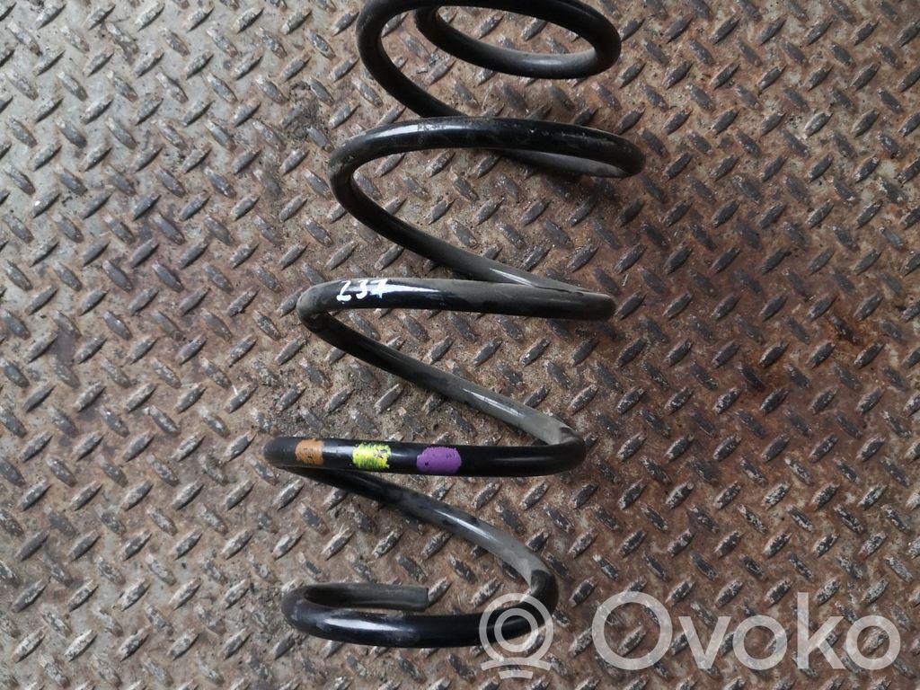 Front coil spring