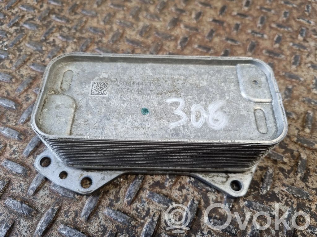 Dodge Challenger Oil filter mounting bracket 