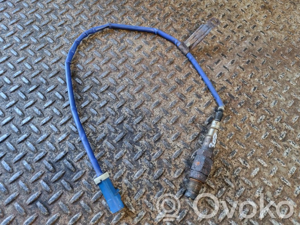 Ford Focus Lambda zondas 